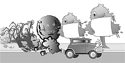 省生態(tài)環(huán)境廳、省公安廳來我市調(diào)研機(jī)動車污染防治工作