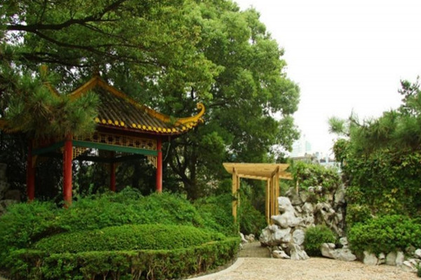 如何讓土地“變肥”，讓樹(shù)苗“夠吃”？